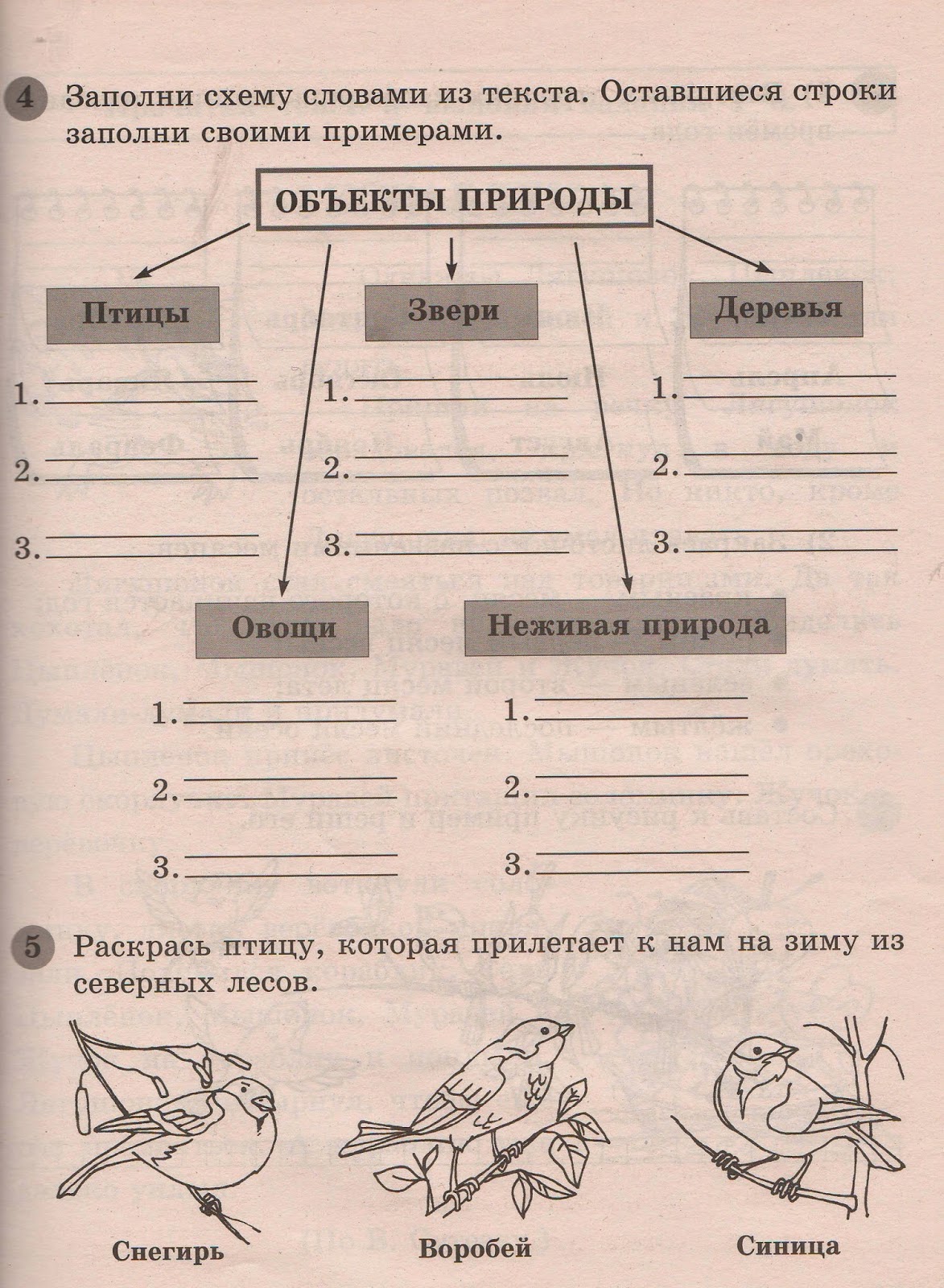Заполни схему приведите примеры