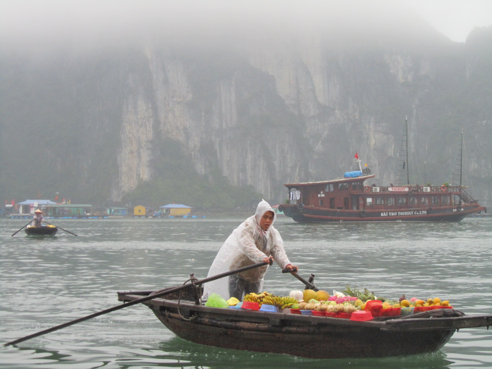 a life in words: the bay of descending dragons - ha long