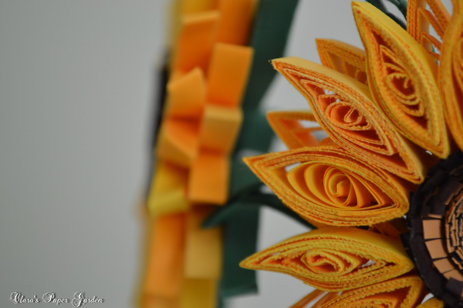 Clara's Paper Garden: 15 Ianuarie