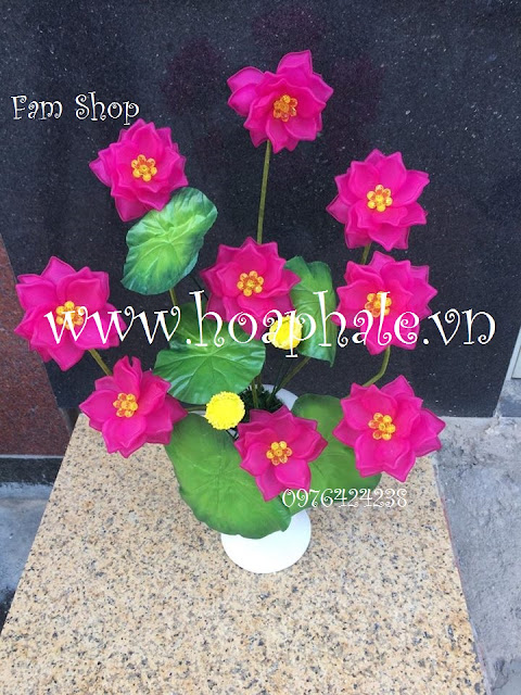 Hoa đá pha lê tại Đội Cấn Hoa da pha le tai Doi Can