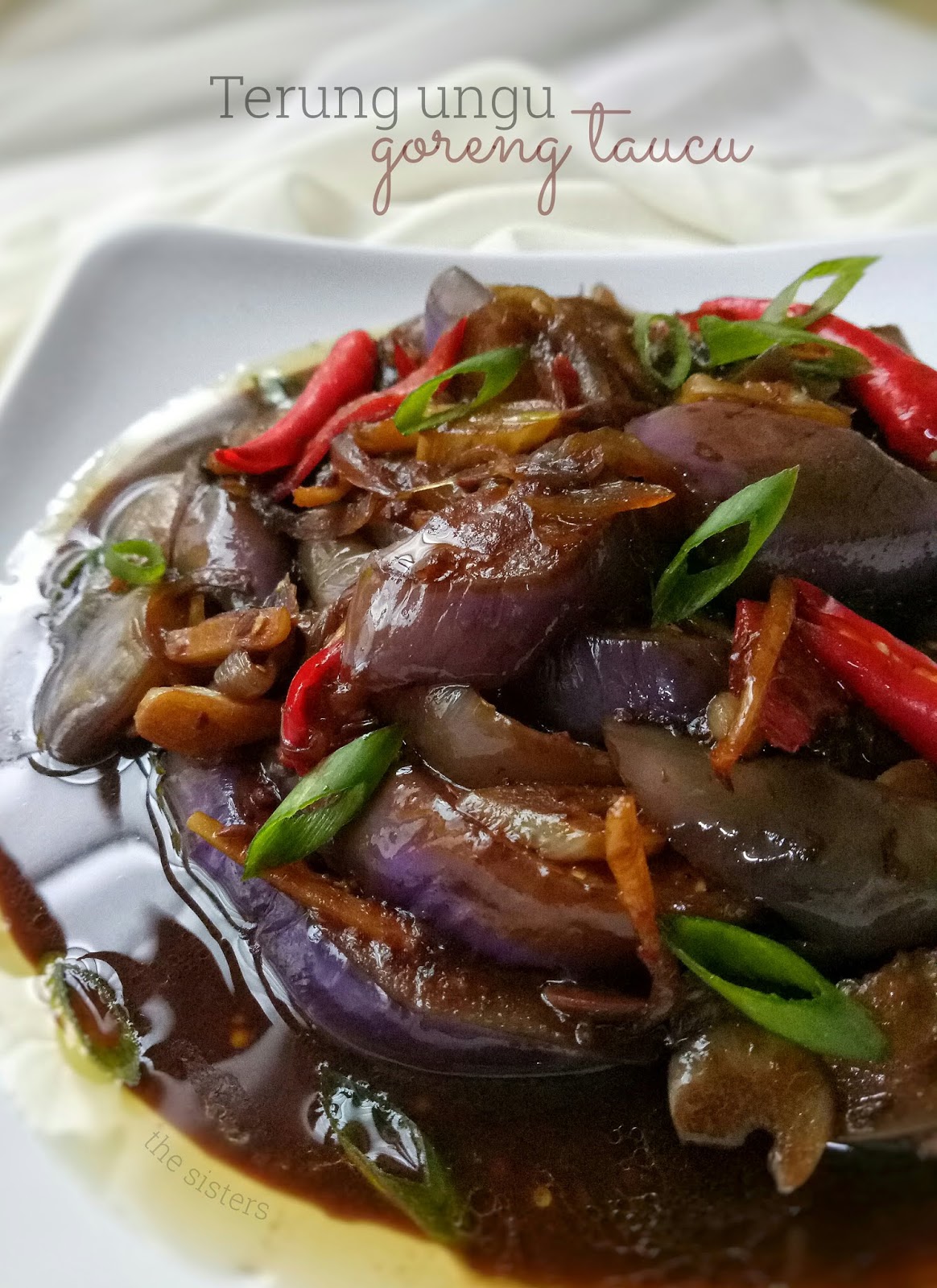 Projek 173 Terung Ungu Goreng Taucu