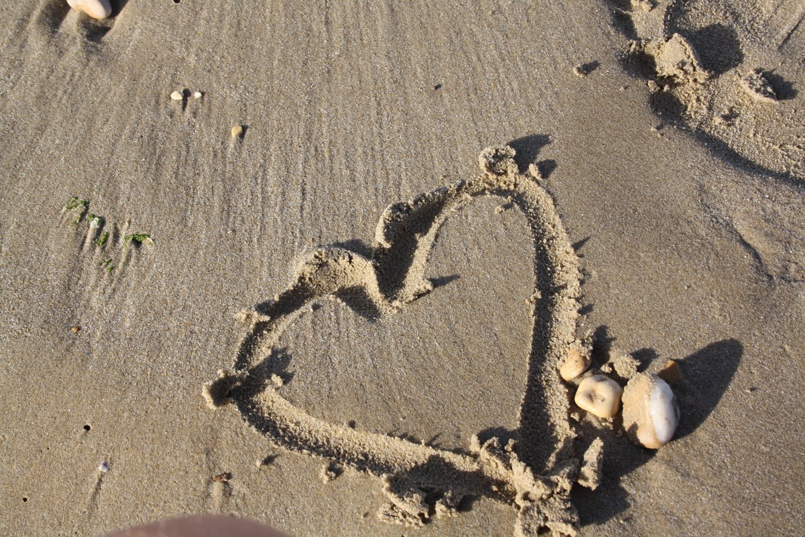 Porto La Gang Tu Porta Le Tue Amiche