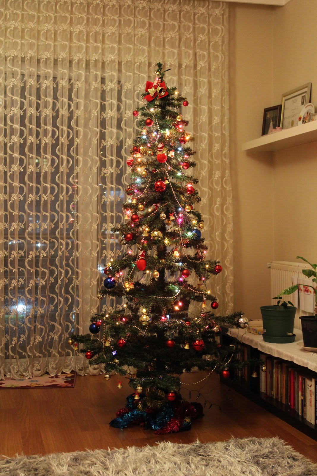 GİZLİKIZ dan KARAKEDİ ye MEKTUPLAR: Yeni Yıl İçin Komşulara Mesaj Var