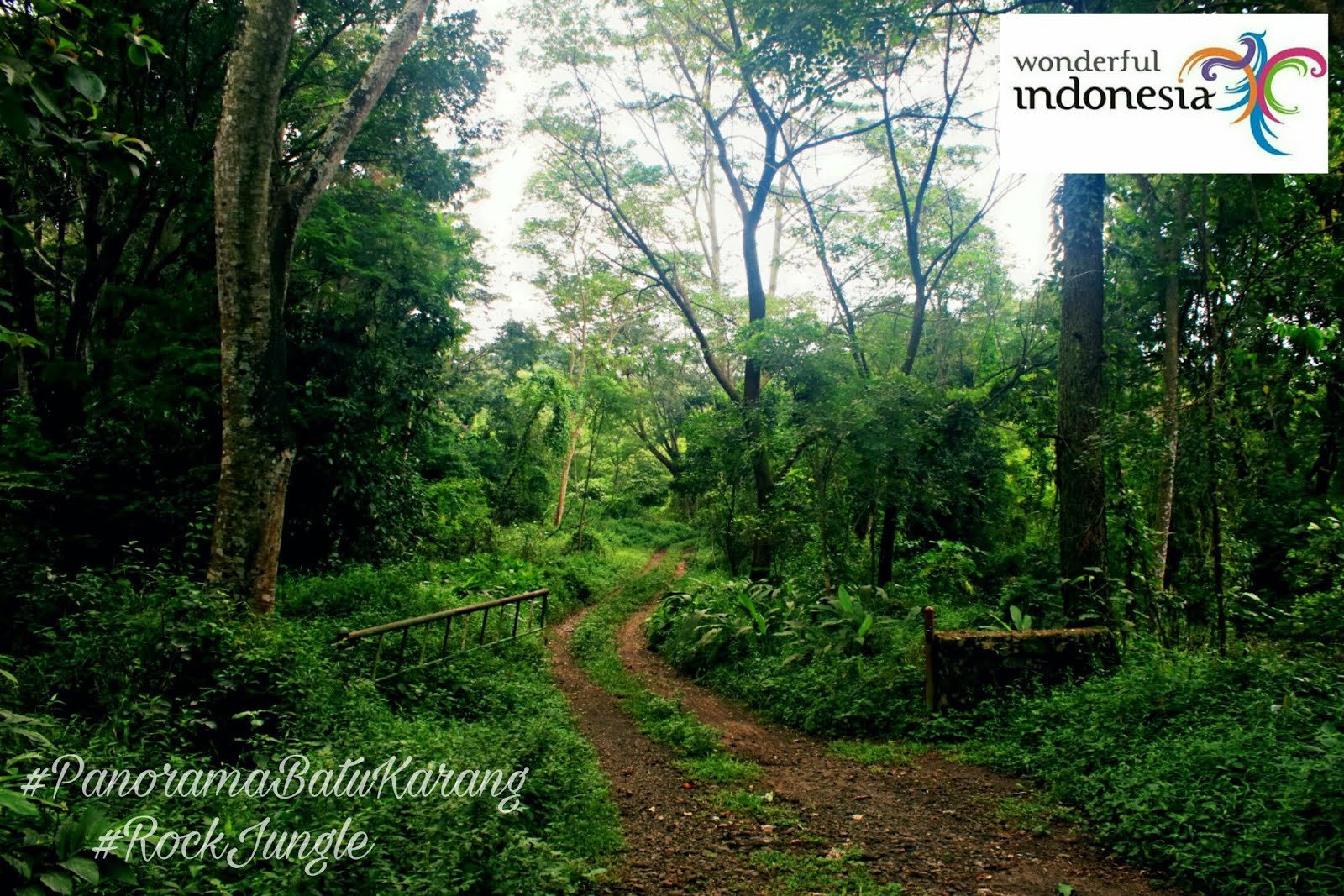 WISATA HUTAN RIMBA KUNINGAN