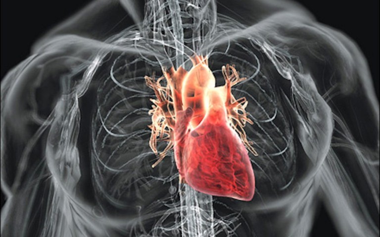 Menjaga Kesehatan Jantung - Blog Apa Adanya
