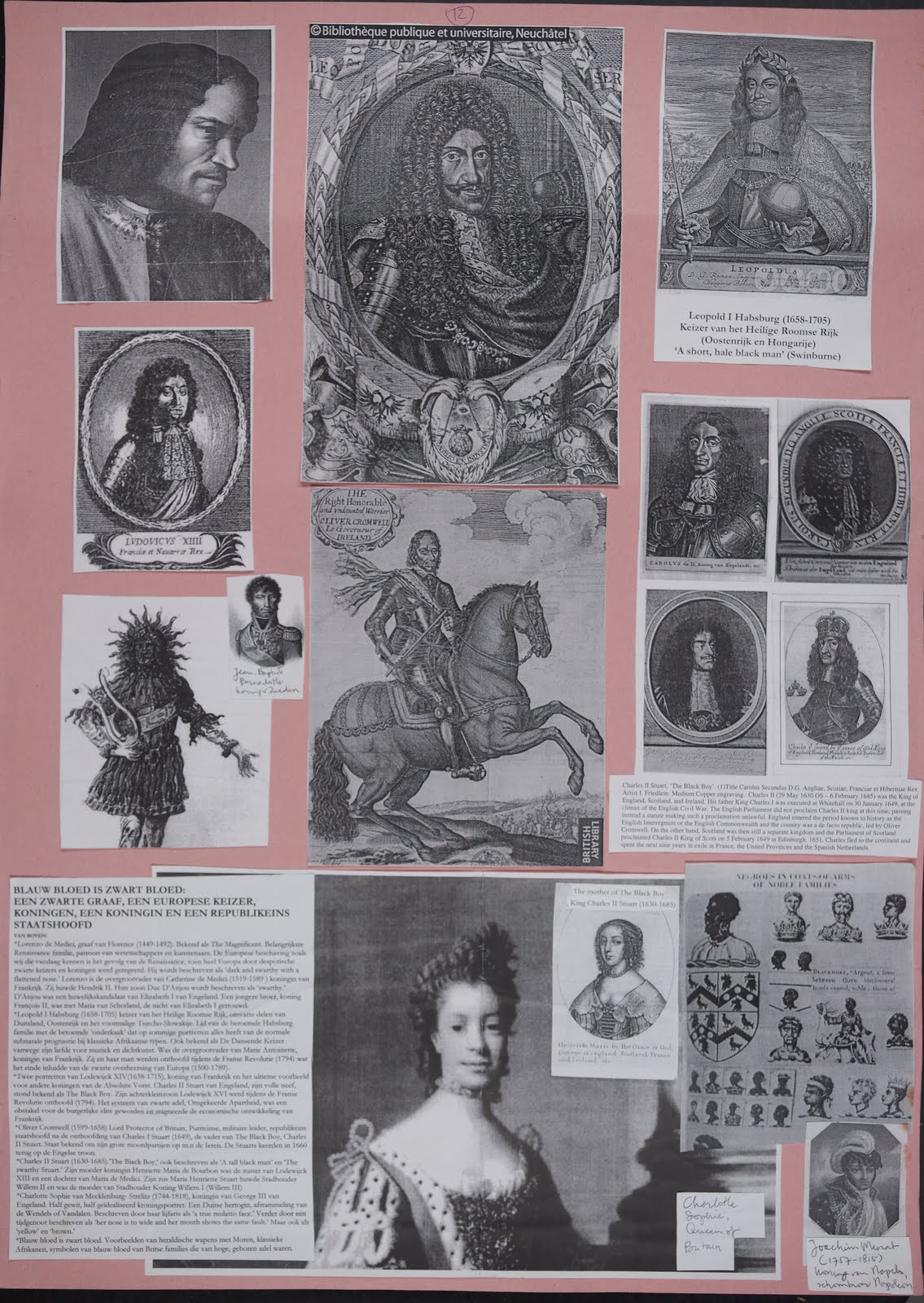 Blue Blood Is Black Blood (11001848) EXHIBITION PANELS BLUE BLOOD IS