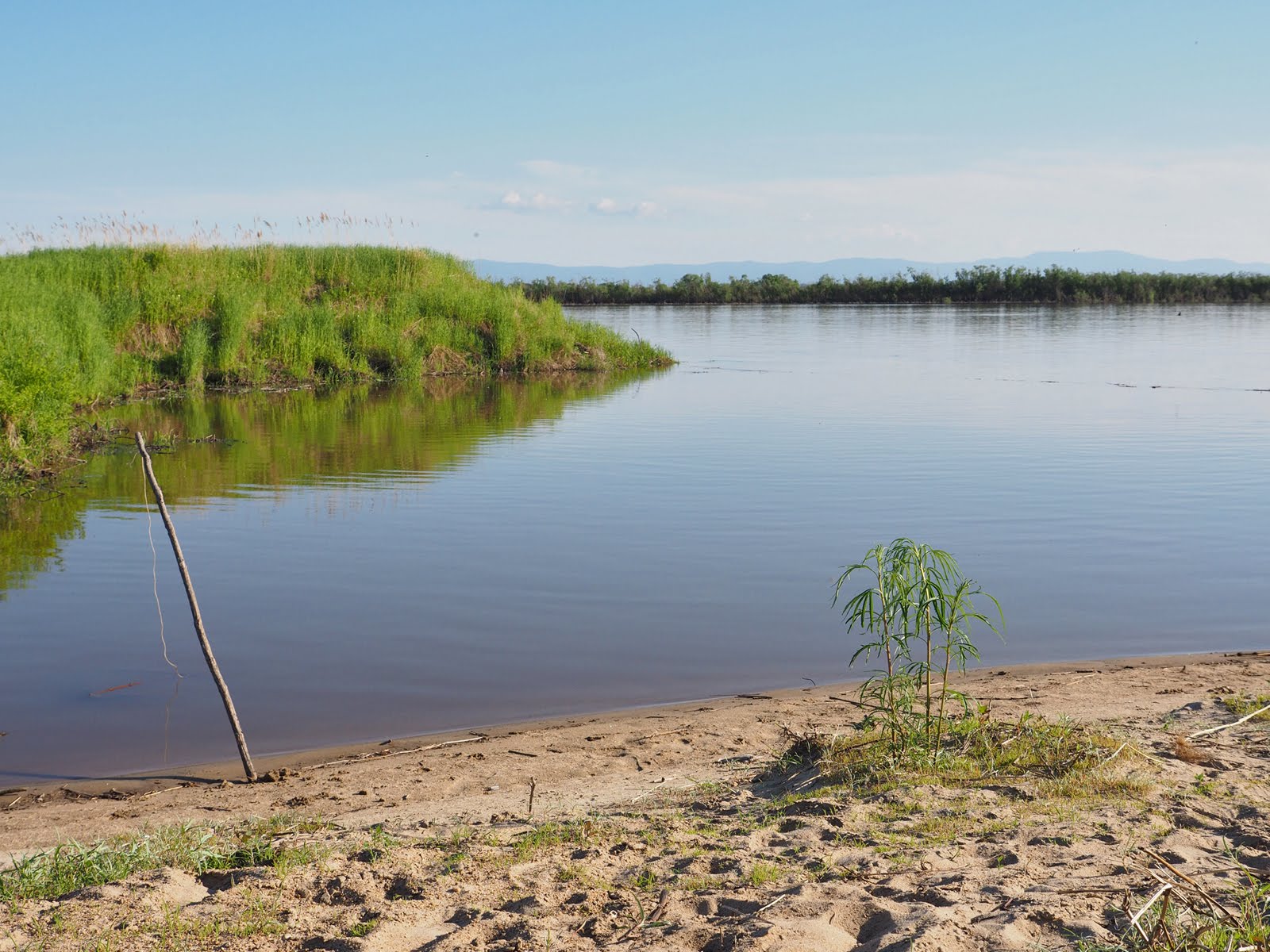 залив на реке
