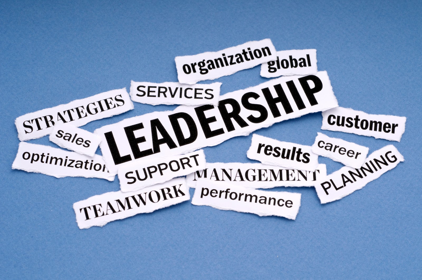 Imagini pentru ce este leadership