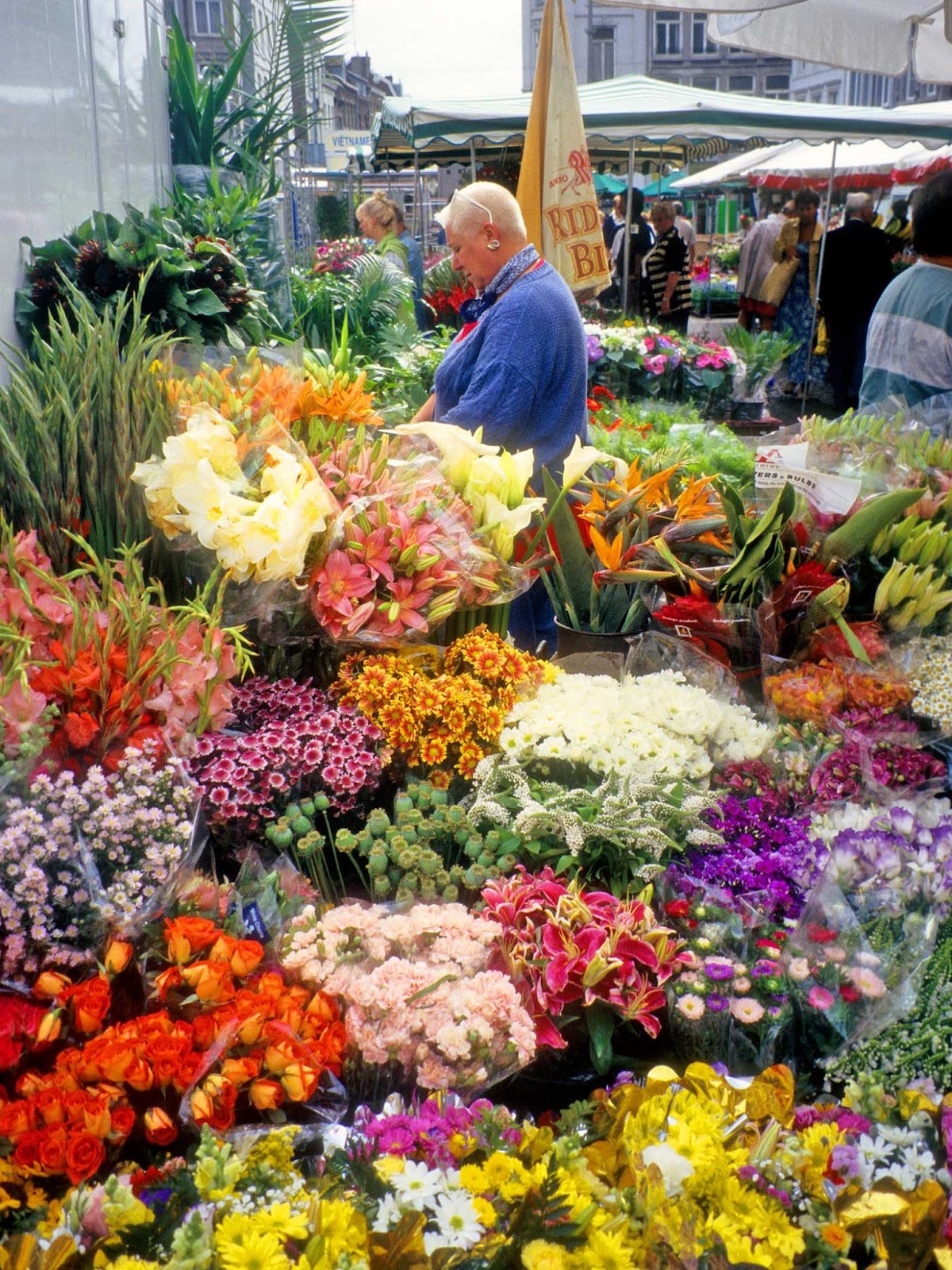 Geographically Yours Maastricht, Netherlands