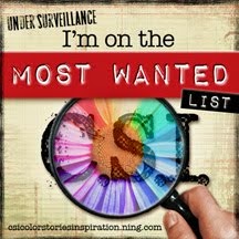 CSI Most Wanted List