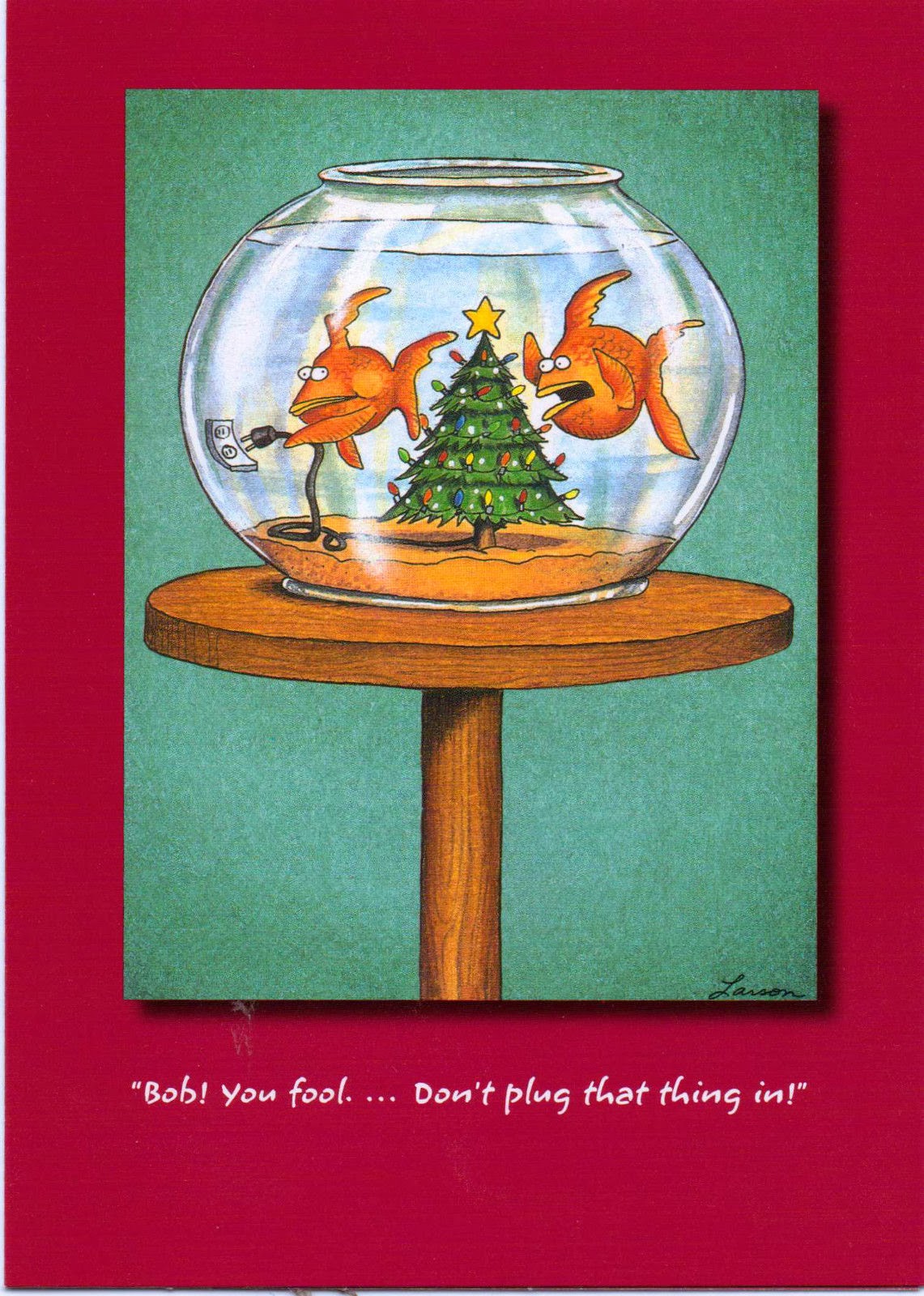 Funny Friday - Why Goldfish Don't Decorate for Christmas.