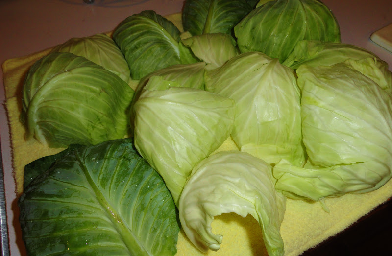 Oxford Impressions: Crock Pot Cabbage Rolls