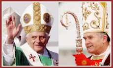 SSPX - wayside and stony ground and thorns choked it