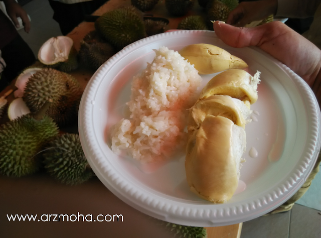 durian pulut, jenis-jenis durian, tips makan durian, cara makan durian, perkara yang perlu dielakkan selepas makan durian, gambar durian pulut, musim durian,