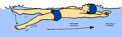 Teknik Renang Gaya Punggung Yang Benar Beserta Penjelasan Penjasorkes