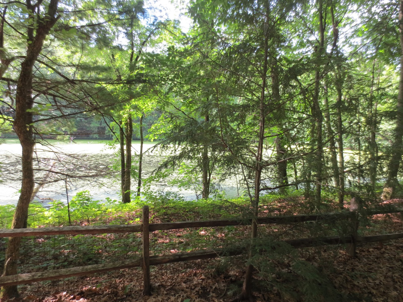 Bay Circuits Bay Circuit Trail Lincoln MA. Walden Woods to Farrar Pond.