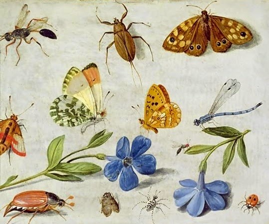 Νηπιαγωγός για πάντα....: Πίνακες Ζωγραφικής με Έντομα