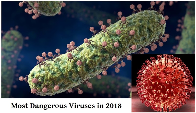 Info 18+ Deadly Virus Names