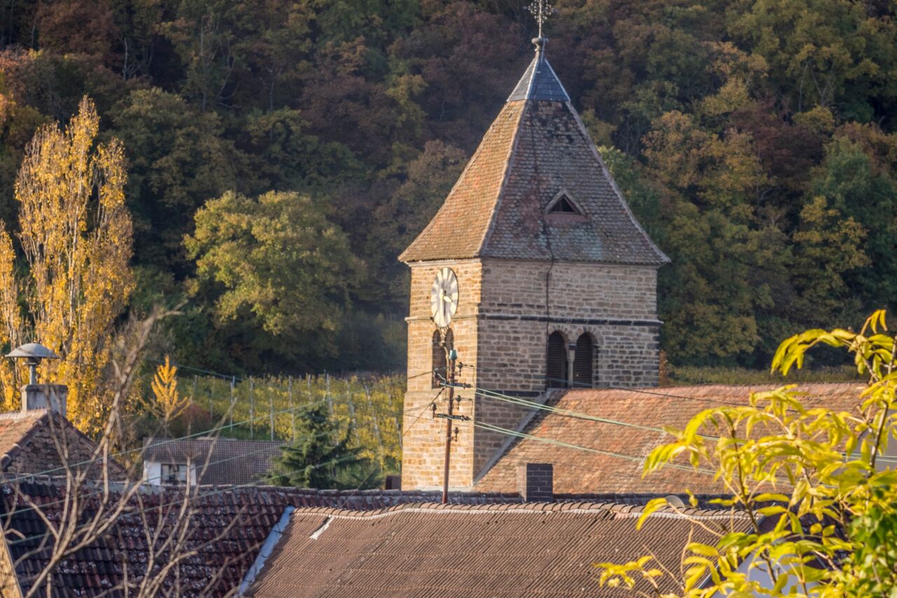Aletheias Welt Ein Ausflug In Die Pfalz Nach Neustadt An Der