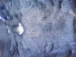 砂むし温泉 砂をかけてもらって横たわるの図