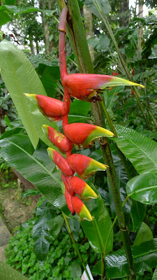 P1040585 Travel Around The World: Berjaya Hills