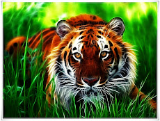 Buku Mewarnai Gratis Download Gambar Binatang Harimau Buas