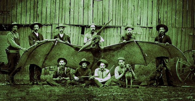 The Legendary Thunderbirds Might Inhabit the US Even Today  