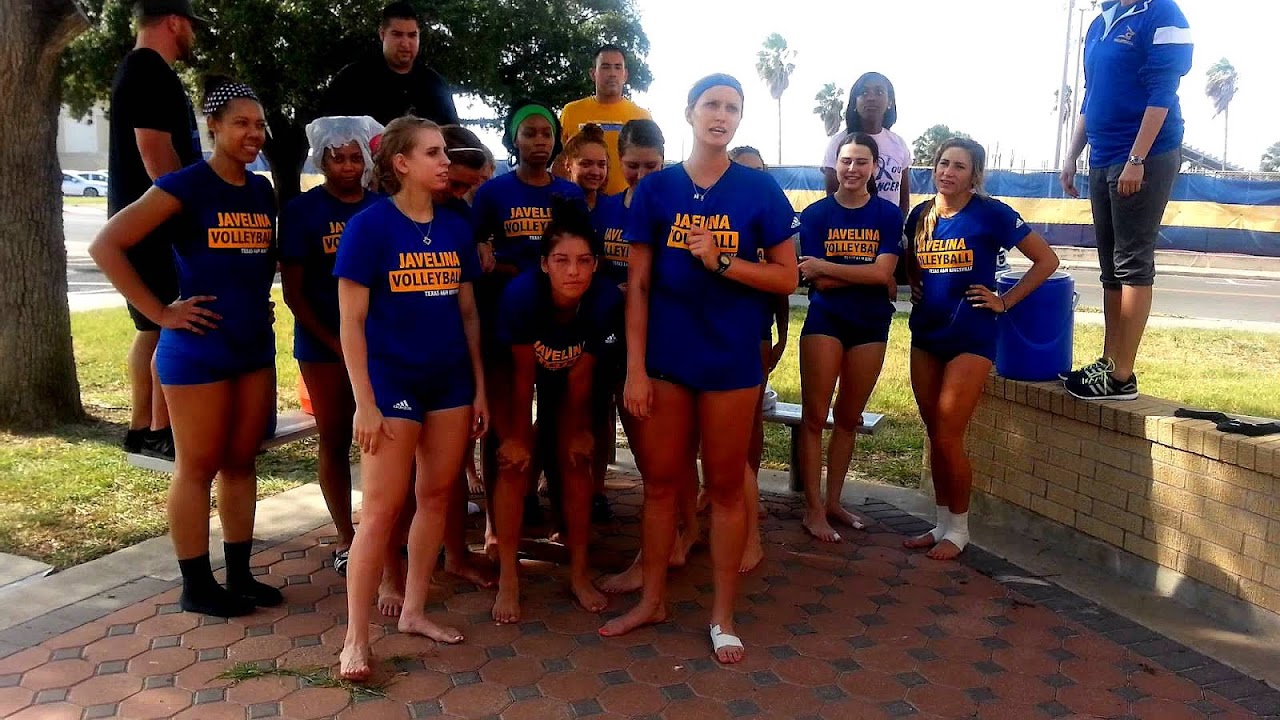 Texas Am Kingsville Volleyball Volley Choices