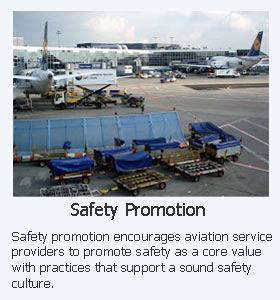 SMS for Aviation Purposes |Aviation Safety Management Systems (SMS)