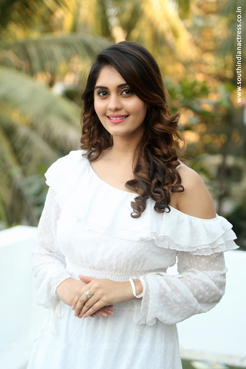 Surbhi at Okka Kshanam Success Celebrations