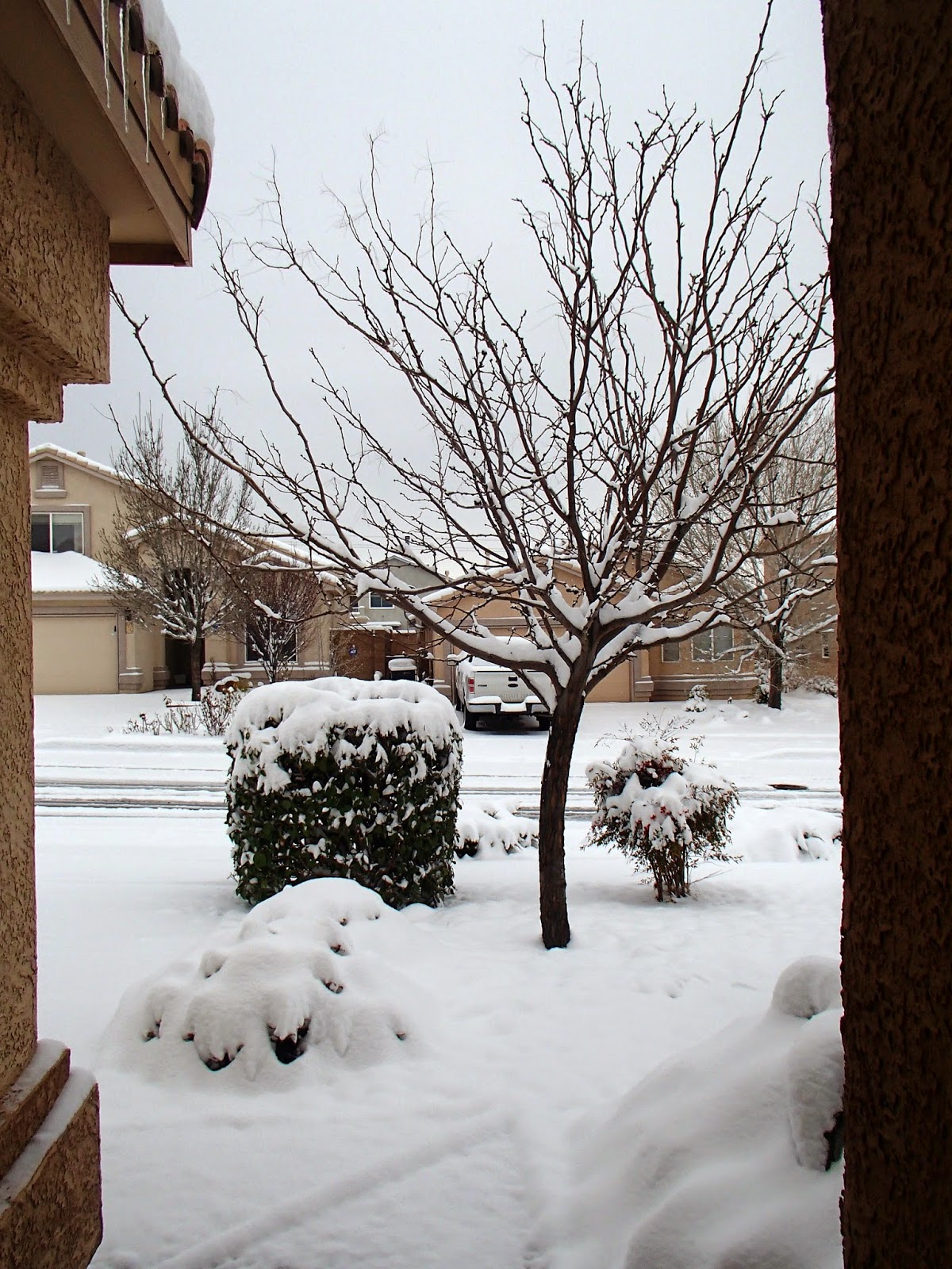 High Times in the High Desert Apparently it CAN snow in Albuquerque