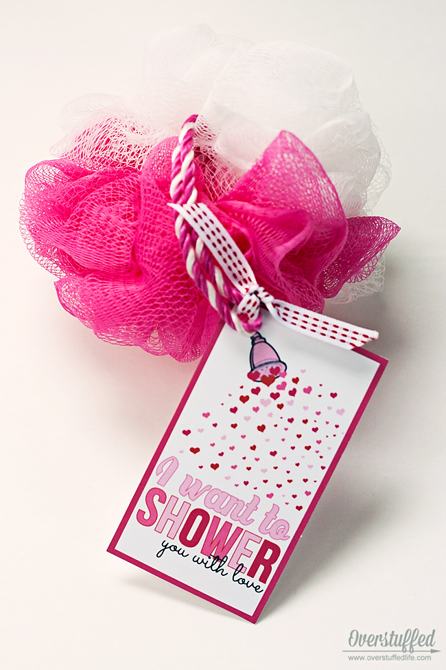 I Want to "Shower" You With Love Valentine's Day Printable Overstuffed