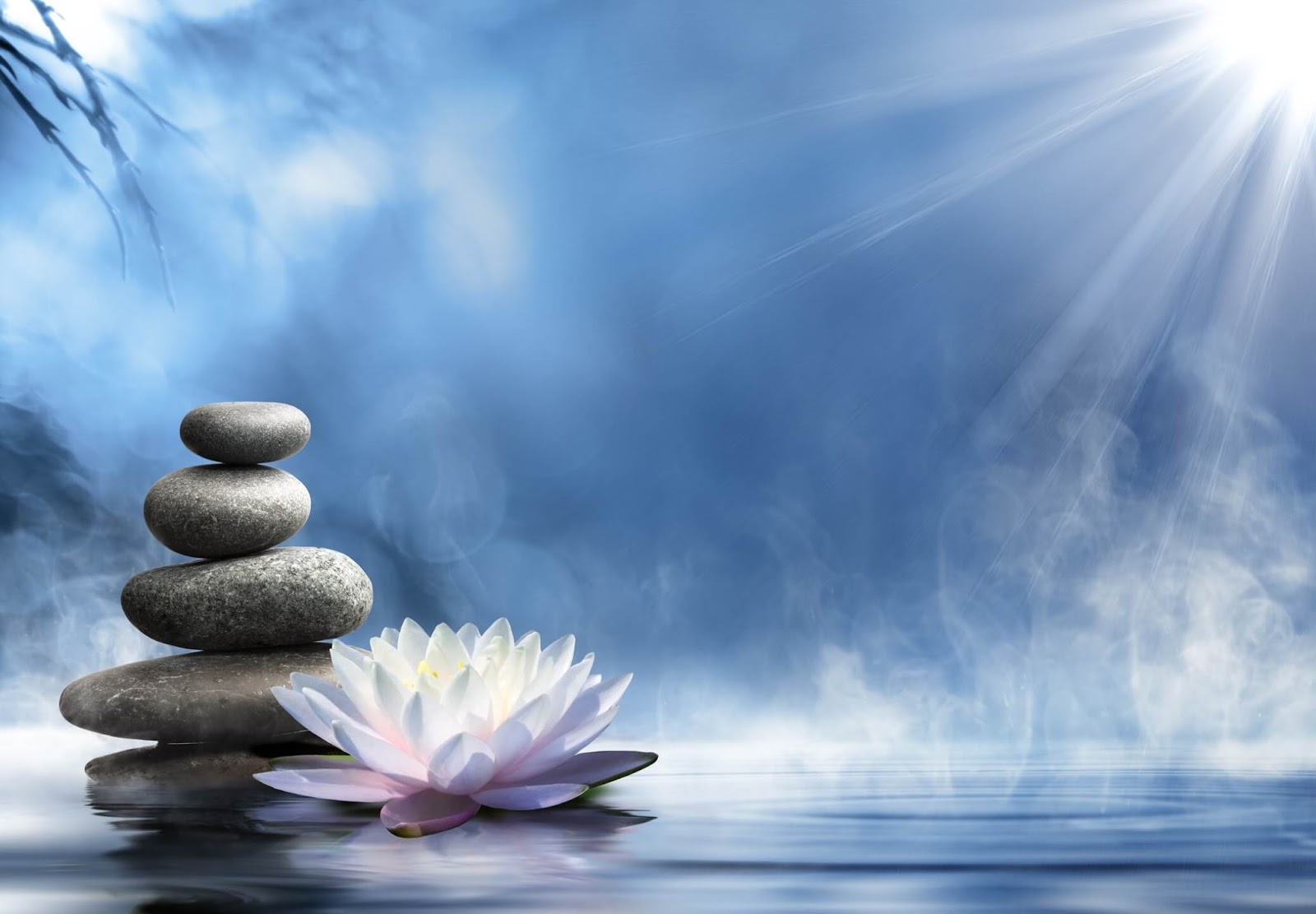 Zen Relaxation Backgrounds