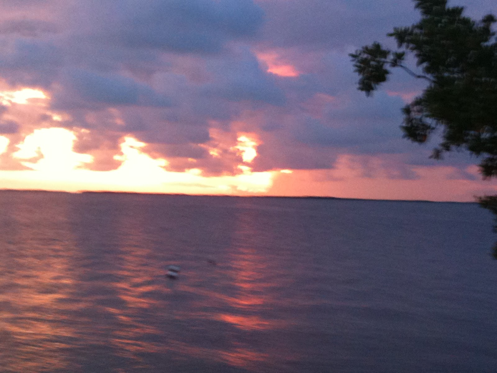 Our Vacation Havens... your Vacation Getaway! typical weather here