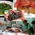 Mengerikan"..Hanya Orang Malas Yang Tidak Membagikan Info Penting Ini..!!! Kangkung Yang Mematikan Dan Membawa Malapetaka..?? Hati-Hati Dalam Memasak Kangkung..!!!!! Brikut Penjelasan'Nya :