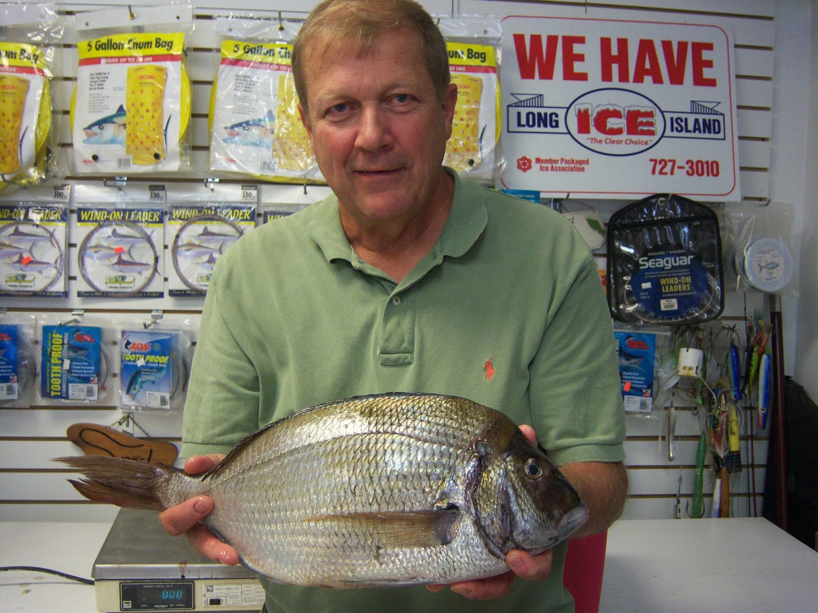 Montauk action! Chasing Tails Bait & Tackle