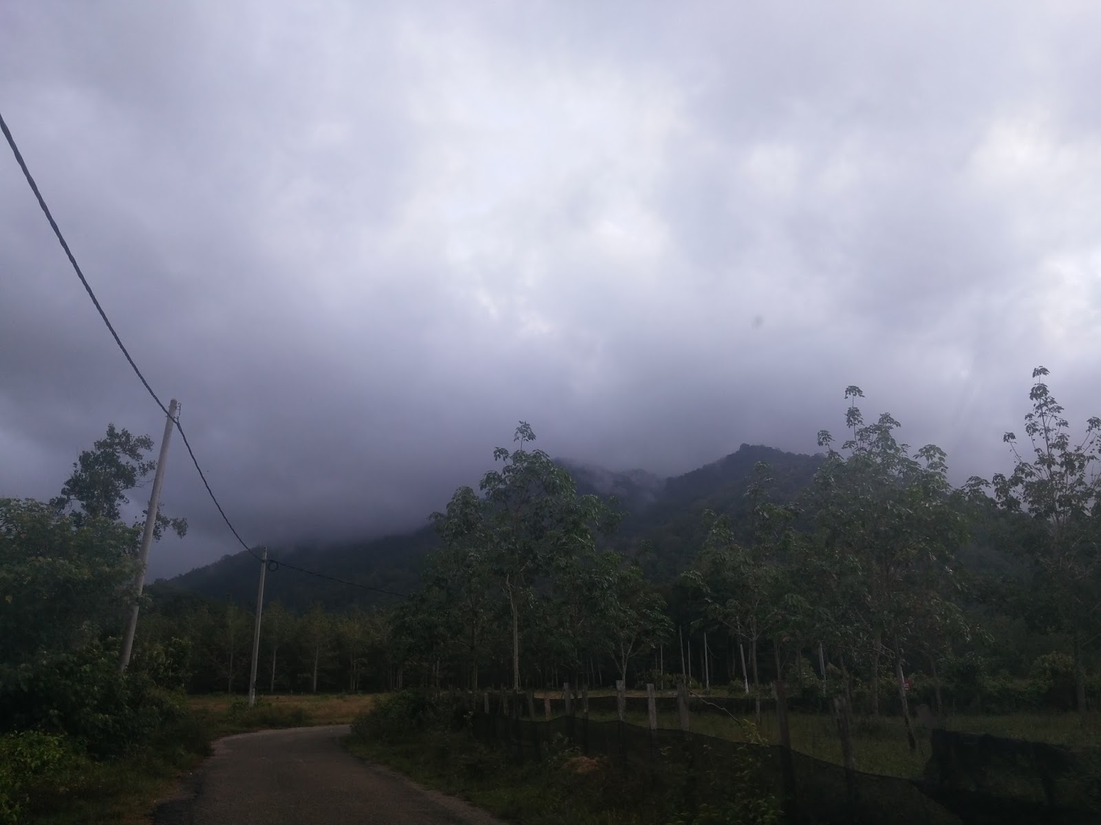 Pengalaman Mendaki Gunung Datuk