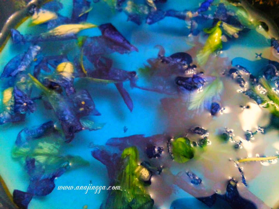 Inilah Bunga Telang Bunga Nasi Kerabu