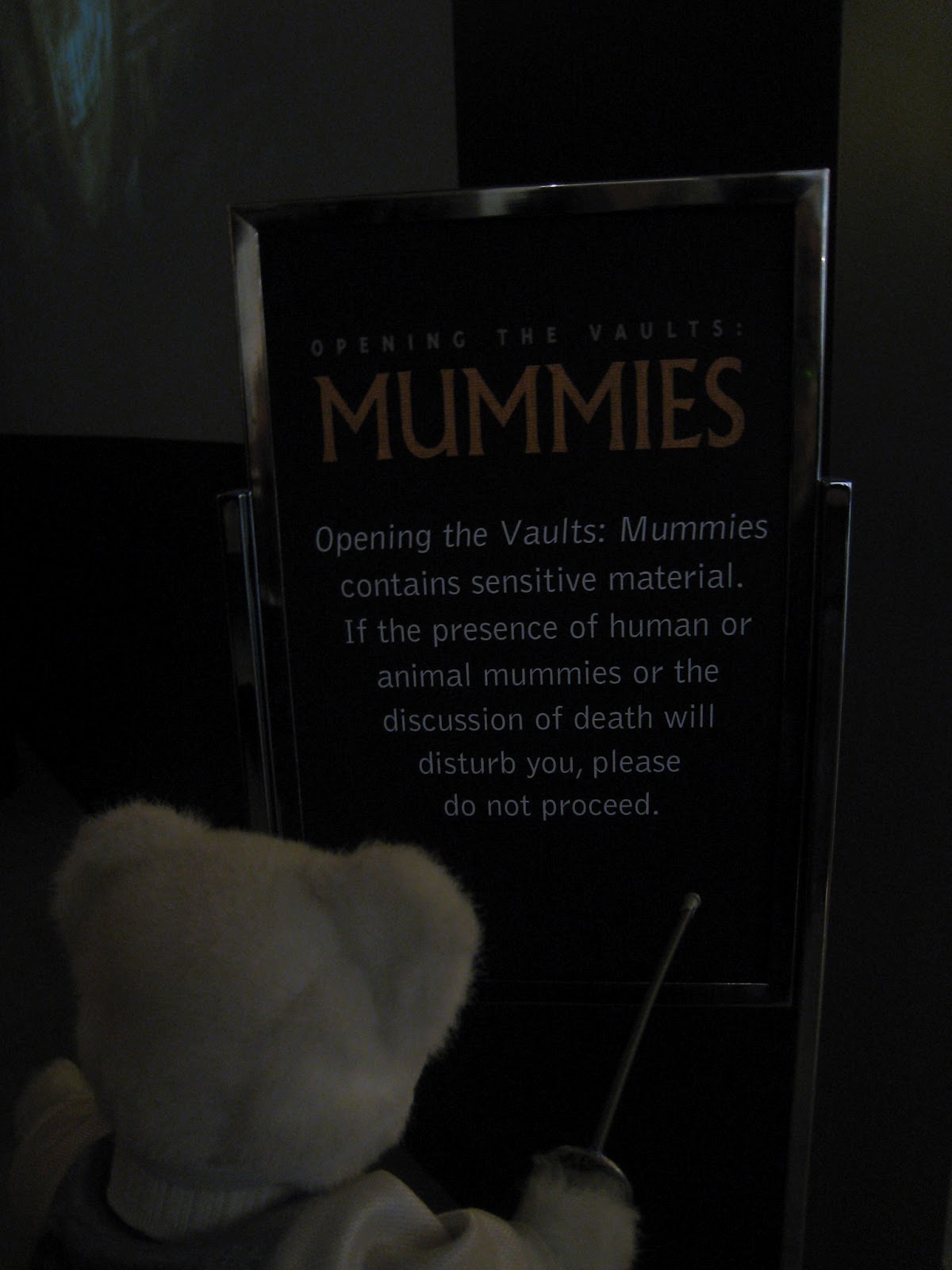 The Secrets of the Field Museum Mummies Revealed