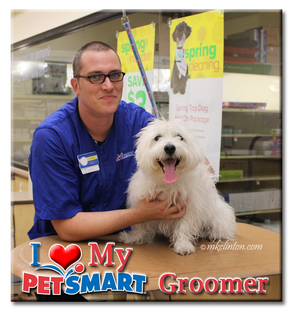 How Much Does A Dog Groomer At Petsmart Make