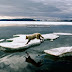 Η Αρκτική χωρίς πάγο το 2045;