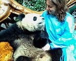 Hi cutie! Meeting baby pandas in China