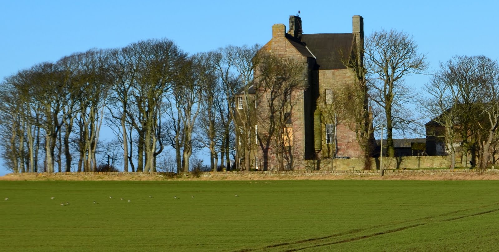 Tour Scotland Tour Scotland Photographs Castle Crail East