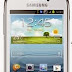 Firmware Samsung GT-S6310 Galaxy Young 2 JellyBean
