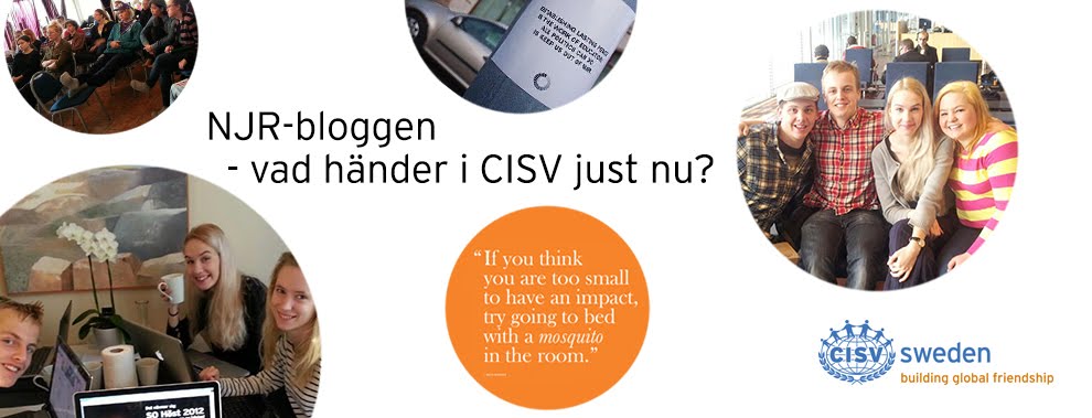 CISV Sweden's NJR-blogg