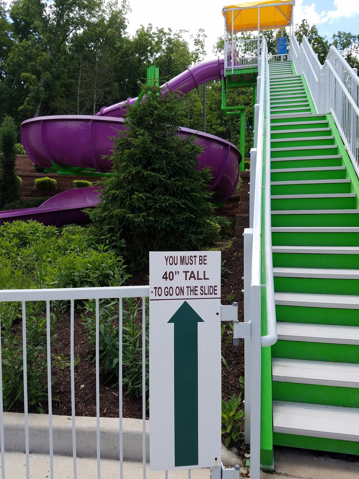 Play St. Louis Timbers of Eureka Pool, Eureka