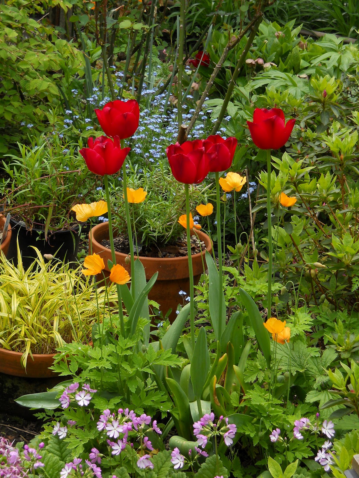 Spit & Vinegar April Flowers