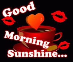good morning good morning