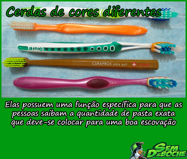CERDAS DE CORES DIFERENTES CERDAS DE CORES DIFERENTES