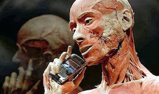Are mobile phones dangerous? Human body - mobile phone